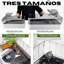 Carica l'immagine nel visualizzatore di Gallery, Tortuguera para Tortugas – Hábitat Seguro, Ventilado y Fácil de Mantener