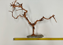 Carica l'immagine nel visualizzatore di Gallery, Árbol natural con base de piedra