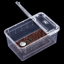 Carica l'immagine nel visualizzatore di Gallery, Box de alimentación ReptilHábitat - ReptilHábitat