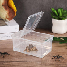 Carica l'immagine nel visualizzatore di Gallery, Box de alimentación ReptilHábitat - ReptilHábitat