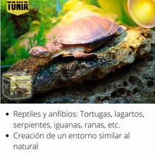 Carica l'immagine nel visualizzatore di Gallery, Bombilla UVB 3.0 25W y 50W - Luz Solar de Espectro Completo para Reptiles y Anfibios