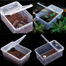 Carica l'immagine nel visualizzatore di Gallery, Box de alimentación ReptilHábitat - ReptilHábitat