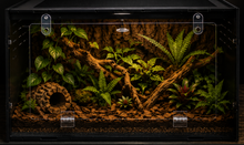 Carica l'immagine nel visualizzatore di Gallery, Terrario SLIM