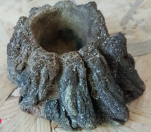 Carica l'immagine nel visualizzatore di Gallery, Cuenco de terrario XXS