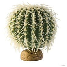 Carica l'immagine nel visualizzatore di Gallery, Cactus Barrel - Planta desértica Exo Terra