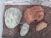 Carica l'immagine nel visualizzatore di Gallery, Cueva para reptiles
