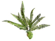 Carica l'immagine nel visualizzatore di Gallery, Planta Helecho 35cm de decoración para terrarios - ReptilHábitat