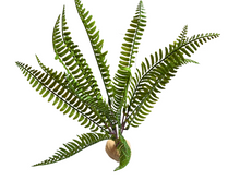 Carica l'immagine nel visualizzatore di Gallery, Planta Helecho 35cm de decoración para terrarios - ReptilHábitat