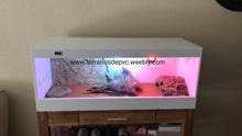 Carica l'immagine nel visualizzatore di Gallery, terrario pvc para pogonas (6748939223239)