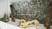 Carica l'immagine nel visualizzatore di Gallery, 120x60x60 (6748943253703)