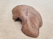 Carica l'immagine nel visualizzatore di Gallery, CUEVA REPTILE CAVE EXO TERRA (6748939845831)