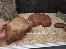 Carica l'immagine nel visualizzatore di Gallery, CUEVA REPTILE CAVE EXO TERRA (6748939845831)