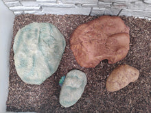 Carica l'immagine nel visualizzatore di Gallery, Cueva para reptiles