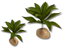 Carica l'immagine nel visualizzatore di Gallery, Planta Lilium de decoración para terrarios - ReptilHábitat