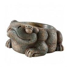 Carica l'immagine nel visualizzatore di Gallery, Bebedero FROG AZTECA Exo-Terra (6748941484231)