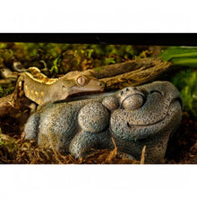 Carica l'immagine nel visualizzatore di Gallery, Bebedero FROG AZTECA Exo-Terra (6748941484231)
