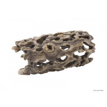 Carica l'immagine nel visualizzatore di Gallery, Esqueleto de CACTUS CHOLLA Exo-Terra (6748941287623)