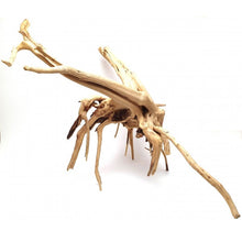 Carica l'immagine nel visualizzatore di Gallery, Rama raíz Spider Gold
