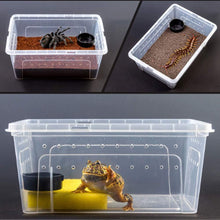 Carica l'immagine nel visualizzatore di Gallery, Box de alimentación ReptilHábitat - ReptilHábitat
