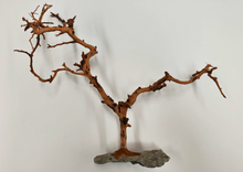 Carica l'immagine nel visualizzatore di Gallery, Árbol natural con base de piedra
