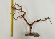 Carica l'immagine nel visualizzatore di Gallery, Árbol natural con base de piedra
