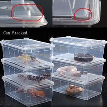 Carica l'immagine nel visualizzatore di Gallery, Box de alimentación ReptilHábitat - ReptilHábitat
