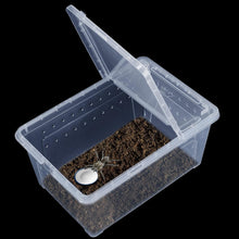 Carica l'immagine nel visualizzatore di Gallery, Box de alimentación ReptilHábitat - ReptilHábitat
