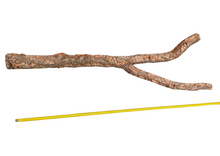 Carica l'immagine nel visualizzatore di Gallery, Rama de corcho maciza GRANDE 140 cm aprox
