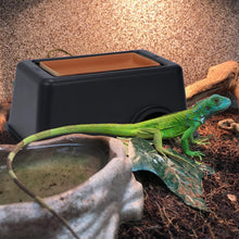 Carica l'immagine nel visualizzatore di Gallery, Cueva Húmeda - ReptilHábitat
