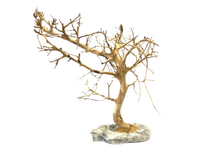 Carica l'immagine nel visualizzatore di Gallery, Árbol natural con base de piedra
