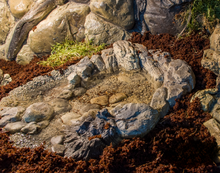 Carica l'immagine nel visualizzatore di Gallery, Bebedero a RAS, para enterrar

