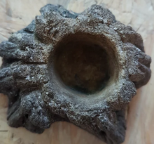 Carica l'immagine nel visualizzatore di Gallery, Cuenco de terrario XXS
