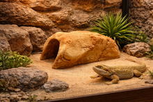 Carica l'immagine nel visualizzatore di Gallery, Cueva de Resina para Terrarios de Reptiles
