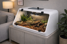 Carica l'immagine nel visualizzatore di Gallery, Terrario VisionPro ReptilHábitat
