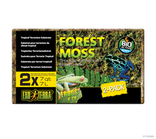 Carica l'immagine nel visualizzatore di Gallery, Musgo natural Exo Terra Forest Moss
