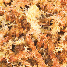 Carica l'immagine nel visualizzatore di Gallery, Musgo Sphagnum  Sustrato Terrario Tropical, 4.5 l

