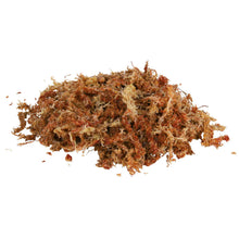 Carica l'immagine nel visualizzatore di Gallery, Musgo Sphagnum  Sustrato Terrario Tropical, 4.5 l
