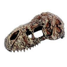 Carica l'immagine nel visualizzatore di Gallery, Cráneo de T-REX NANO
