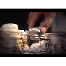 Carica l'immagine nel visualizzatore di Gallery, Piedra natural - Elephant Skin
