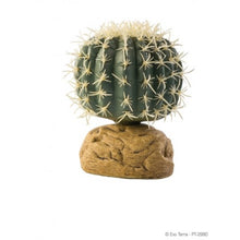 Carica l'immagine nel visualizzatore di Gallery, Cactus Barrel - Planta desértica Exo Terra

