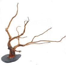 Carica l'immagine nel visualizzatore di Gallery, Rama natural con base de piedra
