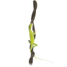 Carica l'immagine nel visualizzatore di Gallery, Lianas 2m
