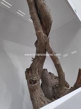 Carica l'immagine nel visualizzatore di Gallery, 100x50x75 (6786352349383)
