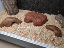 Carica l'immagine nel visualizzatore di Gallery, CUEVA REPTILE CAVE EXO TERRA (6748939845831)
