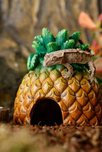 Carica l'immagine nel visualizzatore di Gallery, Cueva Piña
