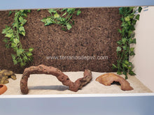 Carica l'immagine nel visualizzatore di Gallery, Fondo decorativo de corcho para terrarios (6748942205127)
