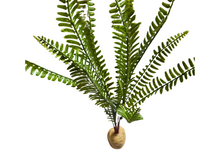 Carica l'immagine nel visualizzatore di Gallery, Planta Helecho 35cm de decoración para terrarios - ReptilHábitat
