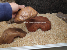 Carica l'immagine nel visualizzatore di Gallery, CUEVA REPTILE CAVE EXO TERRA (6748939845831)
