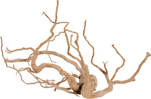 Carica l'immagine nel visualizzatore di Gallery, Rama Cuckoo natural
