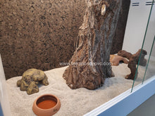 Carica l'immagine nel visualizzatore di Gallery, Fondo decorativo de corcho para terrarios (6748942205127)
